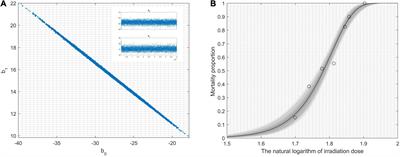 A Series of Efficient Umbrella Modeling Strategies to Track Irradiation-Mutation Strains Improving Butyric Acid Production From the Pre-development Earlier Stage Point of View